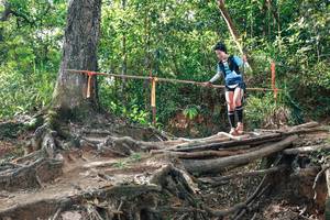 BIB: 
                            <button type="button" onclick="openModal(27555845)" class="btn btn-primary btn-sm float-right btn-popup" data-toggle="modal" data-target=".modal-high-quality">
                        <i class="fas fa-shopping-cart"></i> Add to Cart
                    </button>
                                            <button type="button" onclick="isThisMe(27555845, true)" class="btn btn-success btn-sm float-right btn-popup btn-isme hidden" data-toggle="tooltip" data-placement="bottom" title="นี่คือรูปของคุณใช่ไหม คลิกที่นี่เพื่อเอาเข้าอัลบั้ม">
                        <i class="fas fa-plus"></i> Add to album
                    </button>
                    <button type="button" onclick="isThisMe(27555845, false)" class="btn btn-warning btn-sm float-right btn-popup btn-isnotme hidden">
                        <i class="fas fa-ban"></i> Remove from album
                    </button>